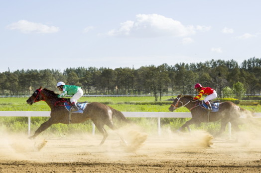 2024澳門特馬今晚開獎億彩網(wǎng)|最新正品動態(tài)解析|老道釋義解釋落實,2024澳門特馬今晚開獎億彩網(wǎng)——最新正品動態(tài)解析與老道釋義解釋落實