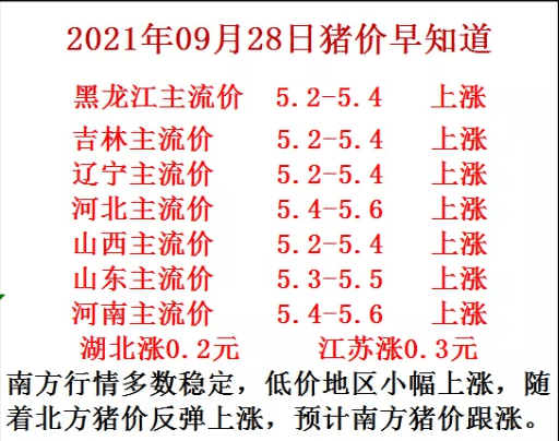 2024澳門今天晚上開什么生肖啊|則明釋義解釋落實(shí),揭秘未來生肖運(yùn)勢，深度解析澳門今晚生肖開彩背后的奧秘與啟示