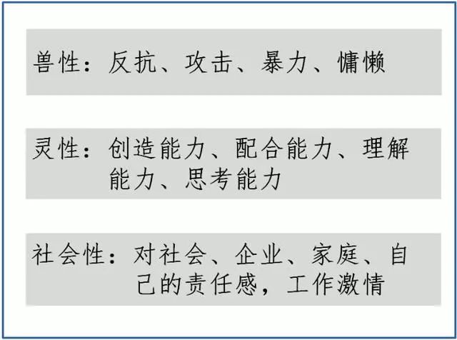 今晚澳門特馬開什么今晚四不像|兼顧釋義解釋落實(shí),今晚澳門特馬開什么，四不像與釋義的探討