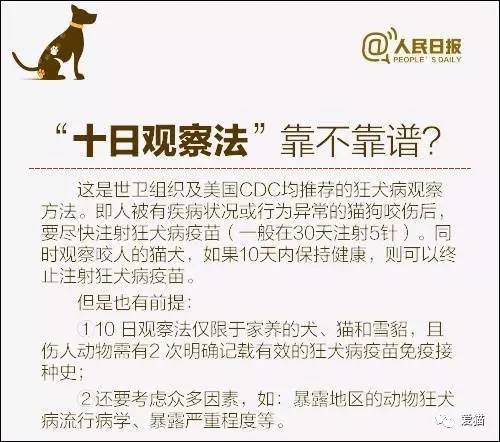 新澳天天開獎資料大全最新54期129期|準確釋義解釋落實,新澳天天開獎資料大全最新期數(shù)解讀與準確釋義解釋落實的重要性