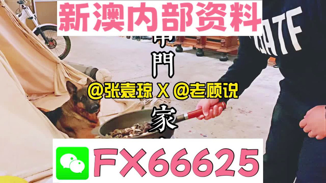 新澳門精準(zhǔn)資料大全管家婆料|功率釋義解釋落實(shí),新澳門精準(zhǔn)資料大全與功率釋義，探索、解釋與落實(shí)