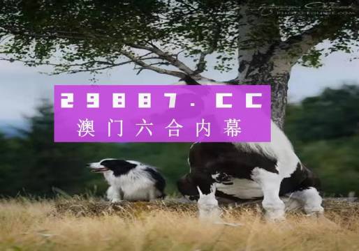 澳門今晚開特馬四不像圖|英語釋義解釋落實,澳門今晚開特馬四不像圖，英語釋義解釋落實