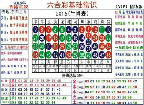 2025十二生肖49碼表|進度釋義解釋落實,解讀十二生肖與數(shù)字編碼的交融——關(guān)于十二生肖49碼表的進度釋義與落實解析