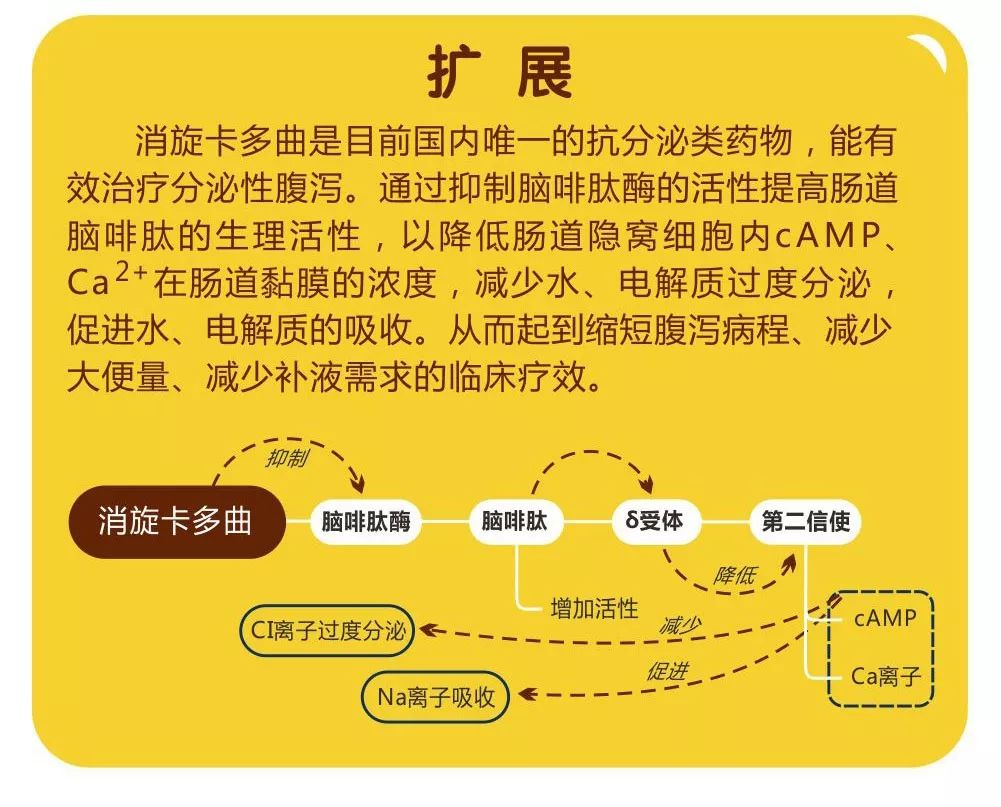 澳門免費(fèi)資料 內(nèi)部資料|速效釋義解釋落實(shí),澳門免費(fèi)資料內(nèi)部資料及速效釋義解釋落實(shí)研究