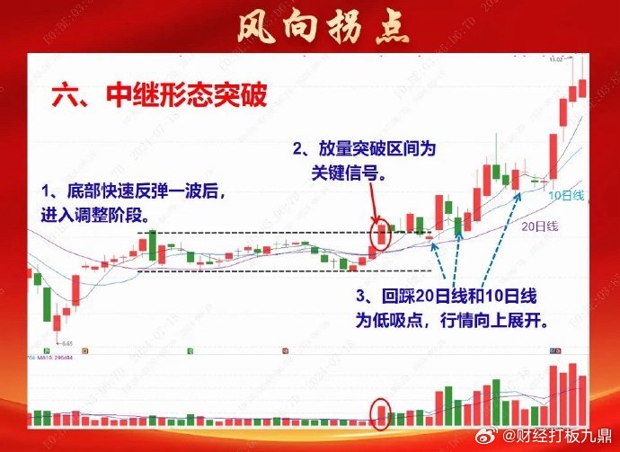 一肖一碼100%-中|抗風(fēng)釋義解釋落實(shí),一肖一碼，百分之百準(zhǔn)確預(yù)測(cè)與抗風(fēng)釋義的深入解讀