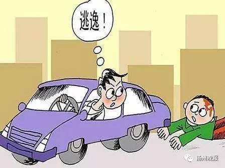 珠海駕車撞行人的原因|政策釋義解釋落實,珠海駕車撞行人原因探究及政策釋義落實分析