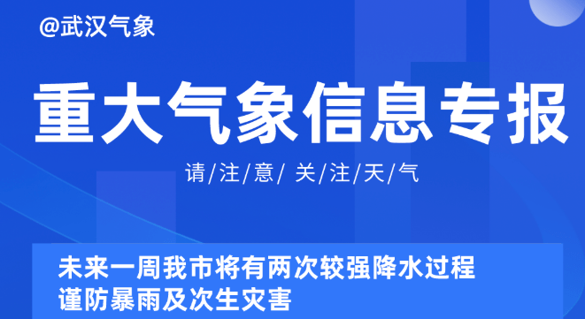 2025新奧正版資料最精準(zhǔn)免費(fèi)大全|以點(diǎn)釋義解釋落實(shí),探索未來，2025新奧正版資料最精準(zhǔn)免費(fèi)大全的全方位解讀與落實(shí)策略