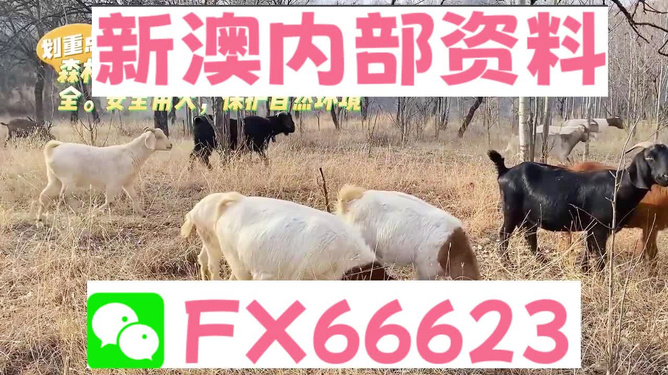 新澳今天最新資料2025|細(xì)膩釋義解釋落實(shí),新澳今日動態(tài)與未來展望，2025的細(xì)膩釋義與落實(shí)策略