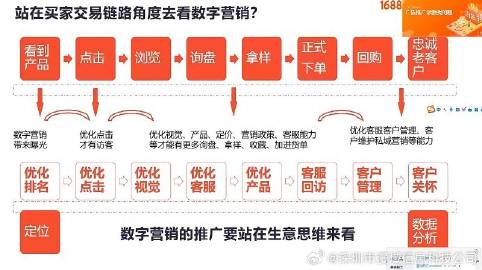 100%一肖一碼100%精準(zhǔn)|流程釋義解釋落實,揭秘一肖一碼，精準(zhǔn)流程釋義與落實策略