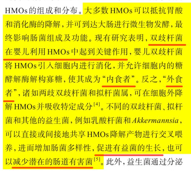 2025澳門管家婆資料正版大全|門計釋義解釋落實,澳門正版資料大全與門計釋義的深度解析——落實與實踐的指引