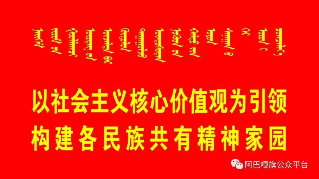 2025新奧門管家婆資料查詢|論述釋義解釋落實(shí),新澳門管家婆資料查詢?cè)?025年的釋義、解釋與落實(shí)