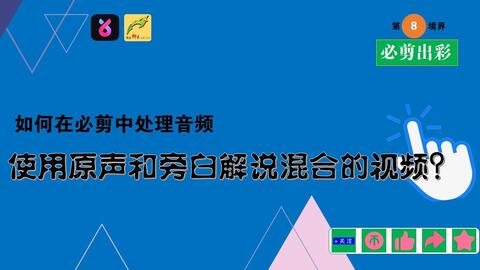 2025年正版資料免費大全視頻|專門釋義解釋落實,邁向2025年，正版資料免費大全視頻的釋義解釋與落實策略