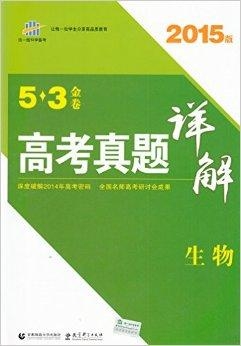 2025年正版資料免費(fèi)大全|專論釋義解釋落實(shí),邁向2025年，正版資料免費(fèi)大全的落實(shí)及其專論釋義解釋