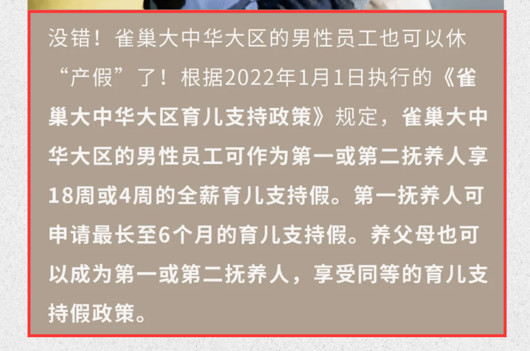 2025年2月19日 第10頁