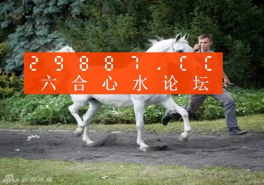 7777788888精準(zhǔn)跑狗圖正版|透徹釋義解釋落實(shí),探索精準(zhǔn)跑狗圖正版，深度解析與全面釋義