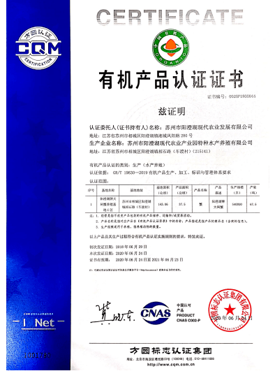 新奧門特免費(fèi)資料大全198期|性狀釋義解釋落實(shí),新澳門特免費(fèi)資料大全第198期，性狀的釋義、解釋與落實(shí)